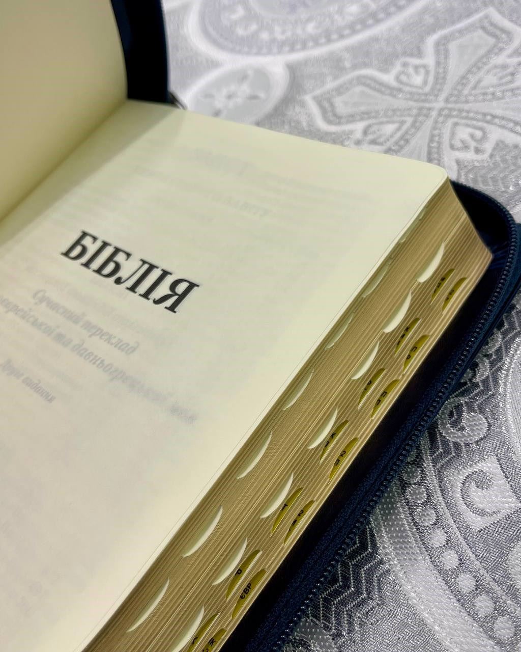 Bible of modern translation in case with zipper